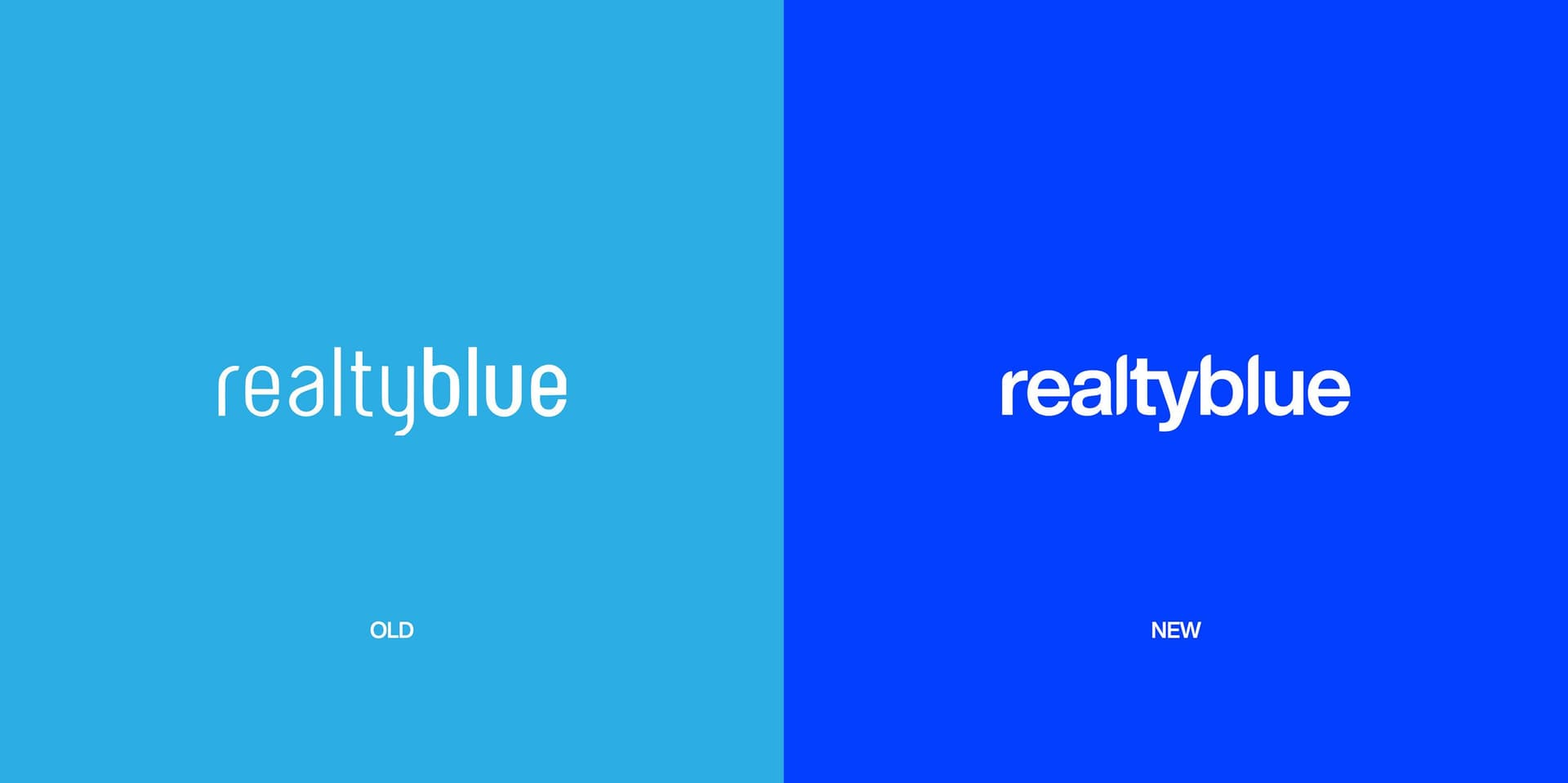 Realty Blue | Rebrand